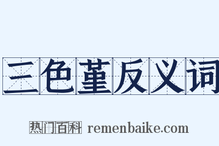 三色堇反义词是什么意思的图片